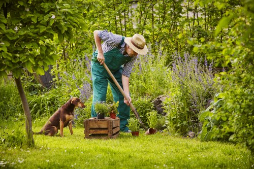 Recycling and sustainability in garden maintenance with waste separation