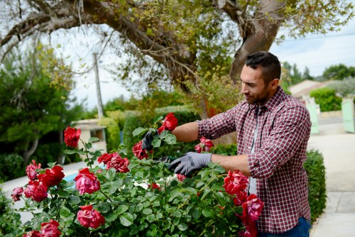 Escalating a complaint within a gardening business