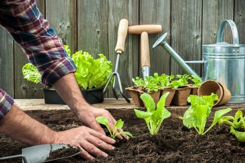 Clear pricing and quotes for Gardeners Goddington services