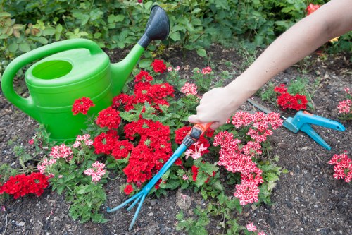 Gardeners Goddington creating a neat and vibrant local garden