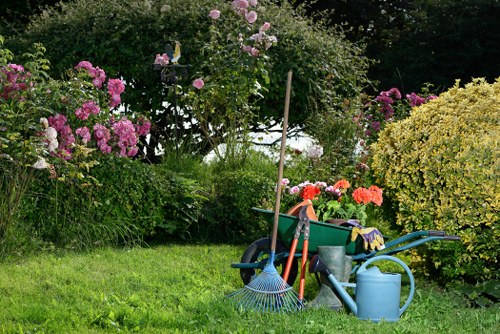 Professional gardening services in Goddington for lawns and borders