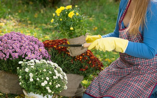 Cancellation and service responsibility terms
