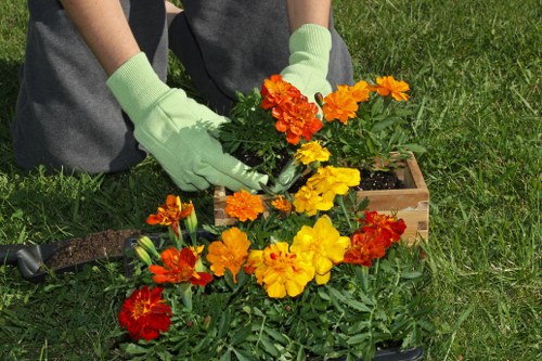 Seasonal planting scheme in a Goddington garden