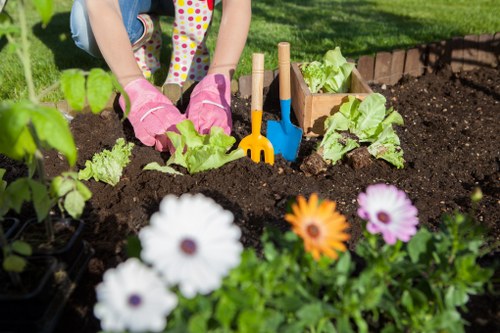 Assessing a gardener service issue during resolution