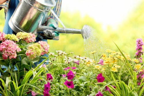 Aeration and fertilising treatment for a greener Goddington lawn