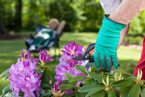 Supplier audit and compliance review for Gardeners Goddington