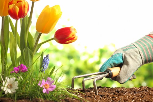 Professional landscape gardening in Goddington featuring patio and border planning