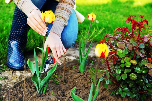 Professional gardeners in Goddington caring for seasonal garden health