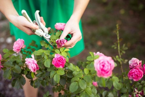 Reporting channels and worker protection in landscaping operations