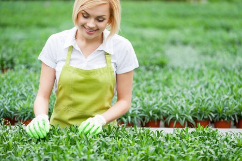 Professional garden clearance removing branches and weeds in Goddington
