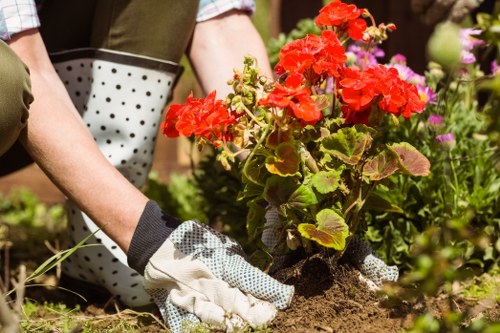 Keyboard navigable local gardening site structure