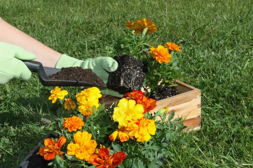 Seasonal gardening services in Goddington for tidy outdoor spaces