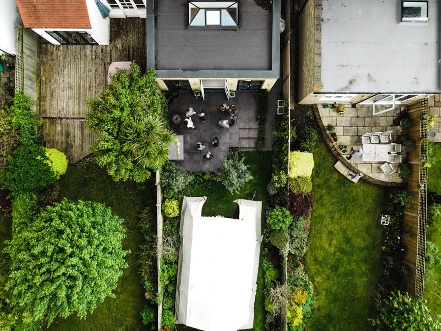 A well-maintained garden features a neatly trimmed, lush green lawn bordered by various plants and shrubs. In the foreground, broad-leaved hostas with glossy, deep green foliage are visible, alongside