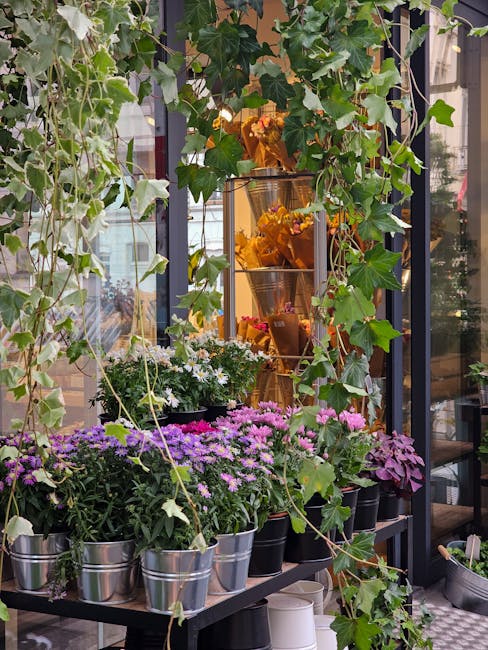 A display of potted flowering plants with vibrant purple, pink, and white blooms arranged on a black metal shelf inside a glass-fronted garden shop. The pots are metallic silver and black, and the dis